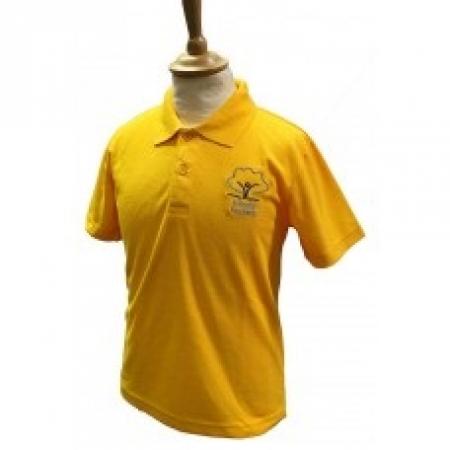 Swindon Academy House Polo Shirts